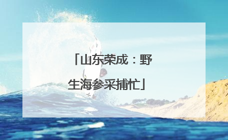 山东荣成：野生海参采捕忙
