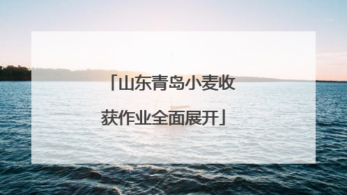山东青岛小麦收获作业全面展开