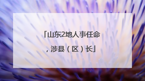 山东2地人事任命，涉县（区）长