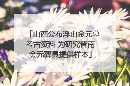 山西公布浮山金元墓考古资料 为研究晋南金元葬具提供样本