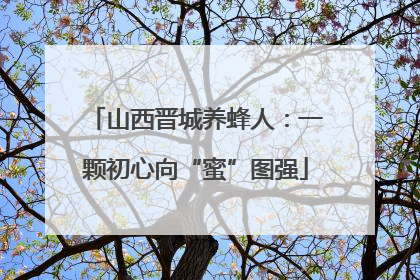 山西晋城养蜂人：一颗初心向“蜜”图强