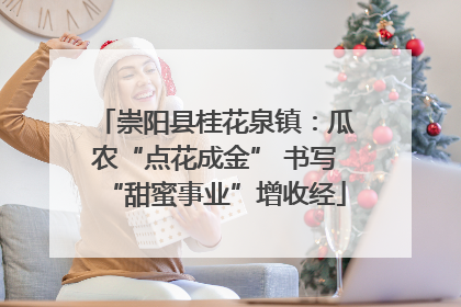 崇阳县桂花泉镇：瓜农“点花成金” 书写“甜蜜事业”增收经