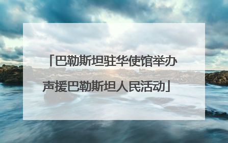 巴勒斯坦驻华使馆举办声援巴勒斯坦人民活动