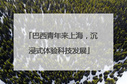 巴西青年来上海，沉浸式体验科技发展