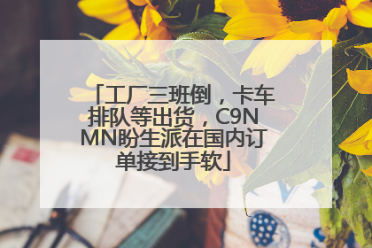 工厂三班倒，卡车排队等出货，C9NMN盼生派在国内订单接到手软
