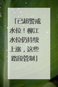 已超警戒水位！柳江水位仍持续上涨，这些路段管制