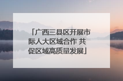 广西三县区开展市际人大区域合作 共促区域高质量发展