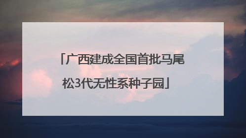 广西建成全国首批马尾松3代无性系种子园