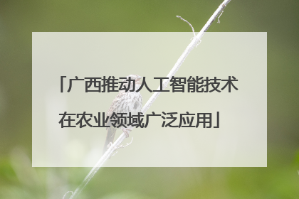 广西推动人工智能技术在农业领域广泛应用