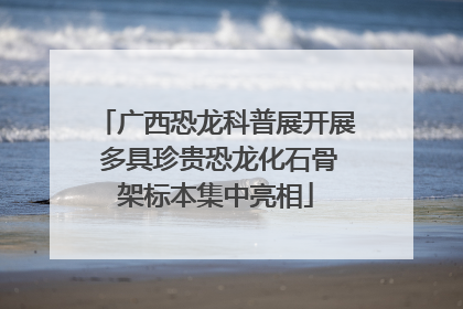 广西恐龙科普展开展 多具珍贵恐龙化石骨架标本集中亮相