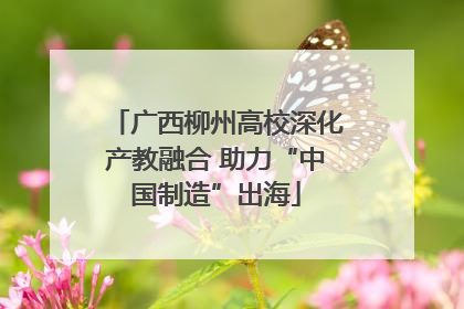 广西柳州高校深化产教融合 助力“中国制造”出海