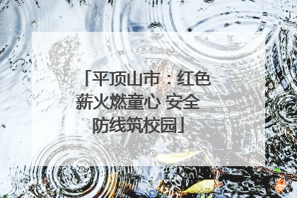 平顶山市：红色薪火燃童心 安全防线筑校园