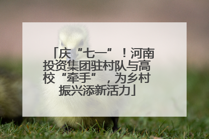 庆“七一”！河南投资集团驻村队与高校“牵手”，为乡村振兴添新活力