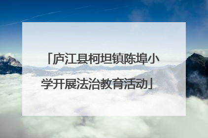 庐江县柯坦镇陈埠小学开展法治教育活动