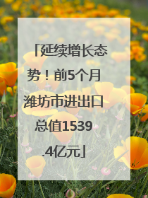 延续增长态势！前5个月潍坊市进出口总值1539.4亿元