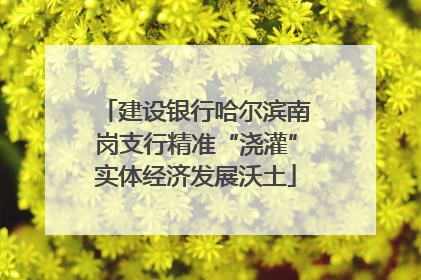 建设银行哈尔滨南岗支行精准“浇灌”实体经济发展沃土