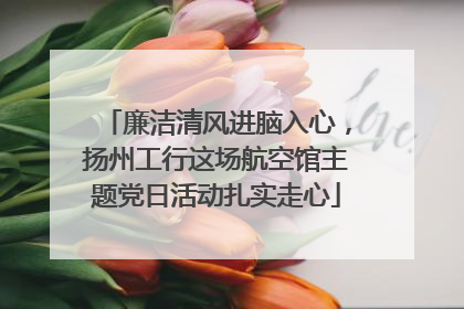 廉洁清风进脑入心，扬州工行这场航空馆主题党日活动扎实走心