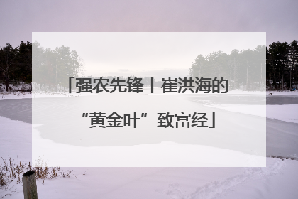 强农先锋丨崔洪海的“黄金叶”致富经