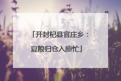 开封杞县官庄乡：夏粮归仓入廪忙