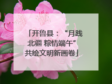 开鲁县：“月践北疆 粽情端午”共绘文明新画卷