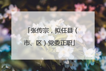 张传宗，拟任县（市、区）党委正职
