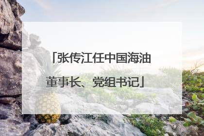张传江任中国海油董事长、党组书记