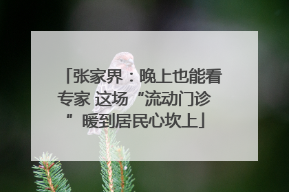 张家界：晚上也能看专家 这场“流动门诊”暖到居民心坎上