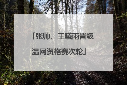 张帅、王曦雨晋级温网资格赛次轮