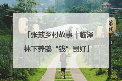 张掖乡村故事｜临泽林下养鹅“钱”景好