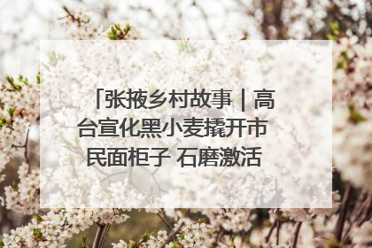 张掖乡村故事｜高台宣化黑小麦撬开市民面柜子 石磨激活村集体钱匣子