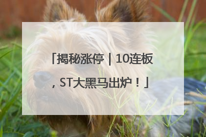 揭秘涨停｜10连板，ST大黑马出炉！