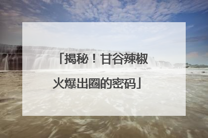 揭秘！甘谷辣椒火爆出圈的密码
