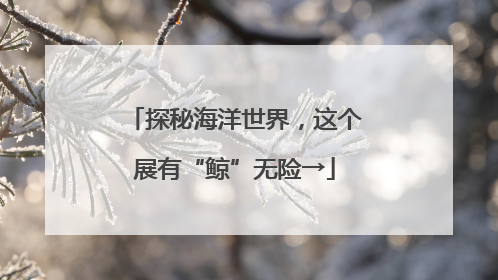 探秘海洋世界，这个展有“鲸”无险→