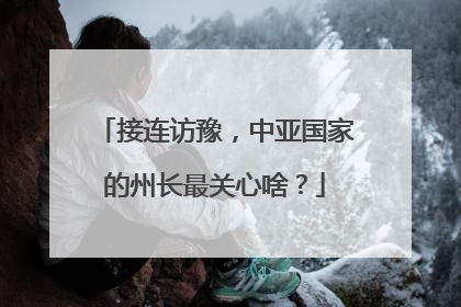 接连访豫，中亚国家的州长最关心啥？