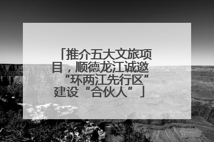 推介五大文旅项目，顺德龙江诚邀“环两江先行区”建设“合伙人”