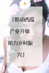 推动西瓜产业升级 助力乡村振兴