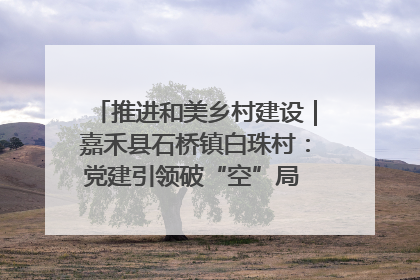推进和美乡村建设｜嘉禾县石桥镇白珠村：党建引领破“空”局 乡贤聚力绘就新图景