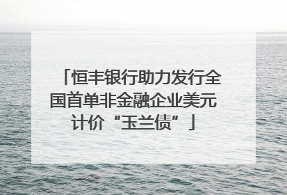 恒丰银行助力发行全国首单非金融企业美元计价“玉兰债”