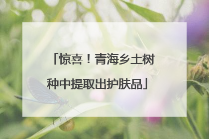 惊喜！青海乡土树种中提取出护肤品