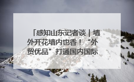 感知山东记者谈｜墙外开花墙内也香！“外贸优品”打通国内国际市场“旋转门”