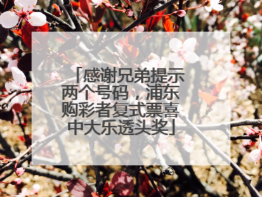 感谢兄弟提示两个号码，浦东购彩者复式票喜中大乐透头奖