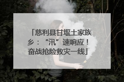 慈利县甘堰土家族乡：“汛”速响应！奋战抢险救灾一线