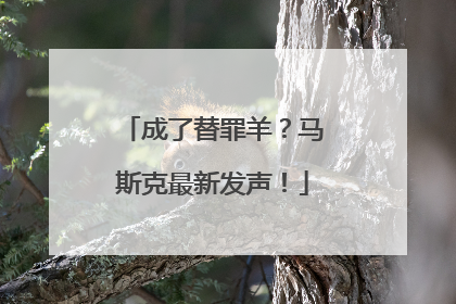 成了替罪羊？马斯克最新发声！