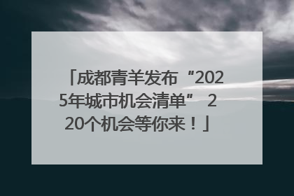成都青羊发布“2025年城市机会清单” 220个机会等你来！