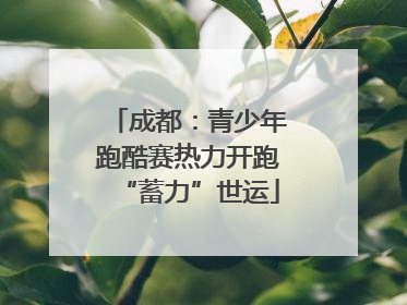 成都：青少年跑酷赛热力开跑“蓄力”世运