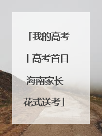 我的高考丨高考首日 海南家长花式送考