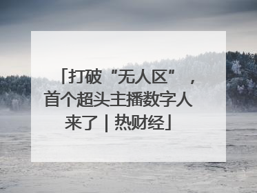 打破“无人区”，首个超头主播数字人来了｜热财经