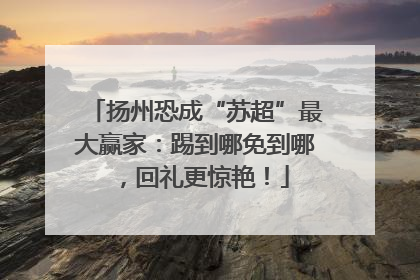 扬州恐成“苏超”最大赢家：踢到哪免到哪，回礼更惊艳！