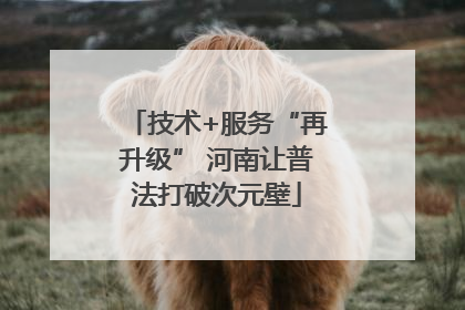 技术+服务“再升级” 河南让普法打破次元壁