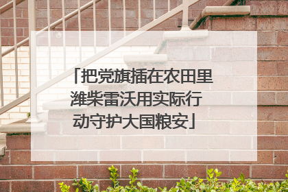 把党旗插在农田里 潍柴雷沃用实际行动守护大国粮安